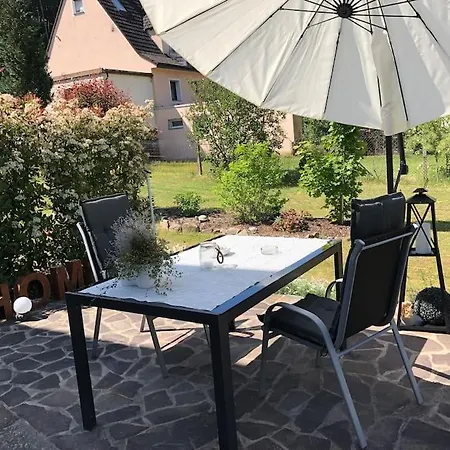 Braun Hinterweidenthal