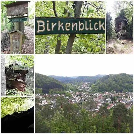 Braun Appartement Hinterweidenthal