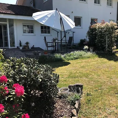 アパート Braun *