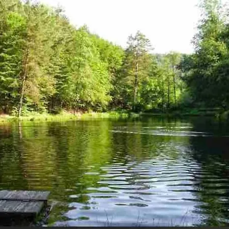 Braun Hinterweidenthal