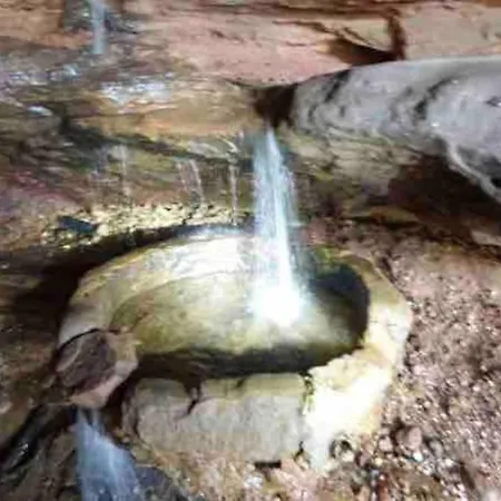 Braun * Hinterweidenthal