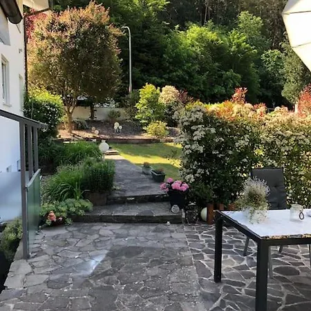 Braun Appartement Hinterweidenthal