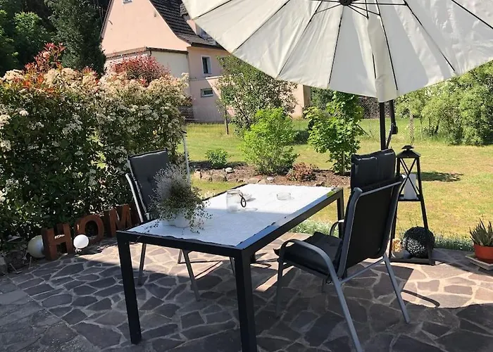 Braun Hinterweidenthal