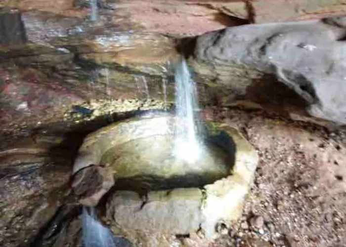 Braun * Hinterweidenthal